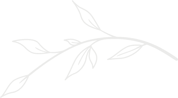 Form Background Image