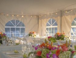 bistro style lighting inside a tent