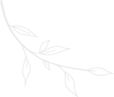 A leaf Icon